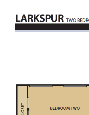 Larkspur
